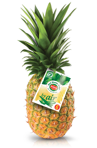 Piña Avion 2Kg.
